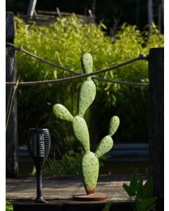 Gartenoase "Kaktus Deserto", S, Eisen
